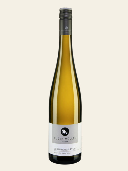 Forster Jesuitengarten Erste lage 2024 - Riesling
